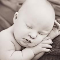 Levi | Florence, SC Newborn Photographer