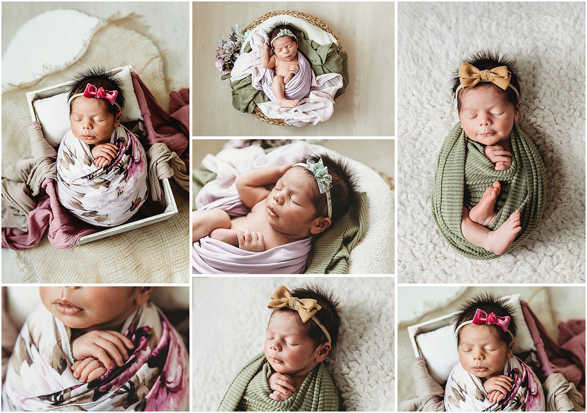 studio posed newborn florence sc