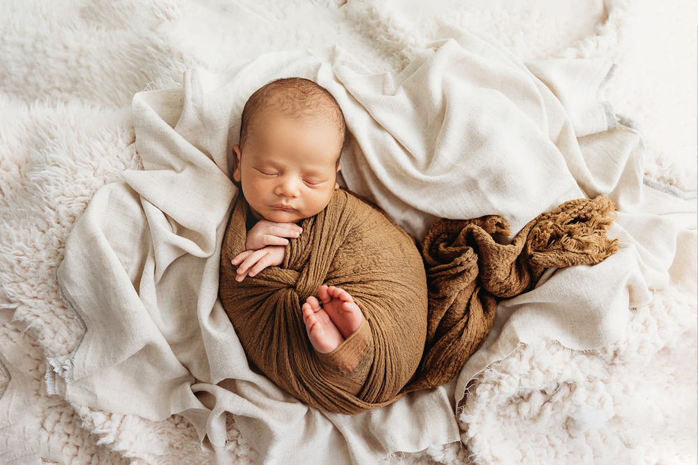 zavier newborn photographer florence