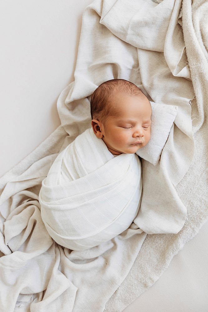 zavier newborn photographer florence