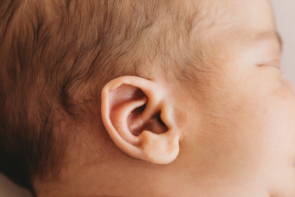 newborn baby ear