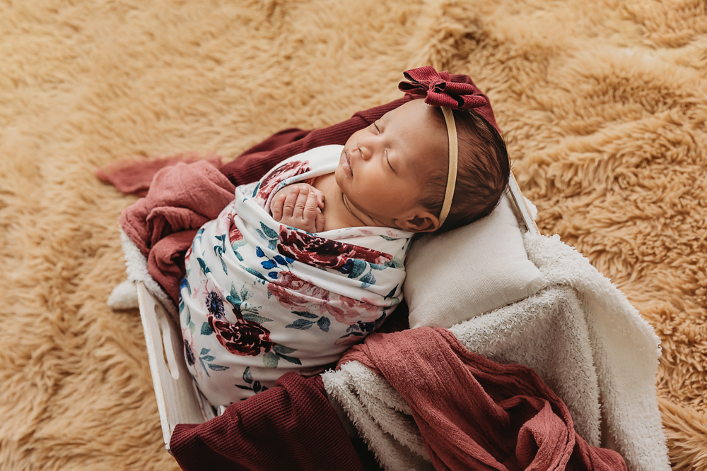 Reign Newborn Session Florence