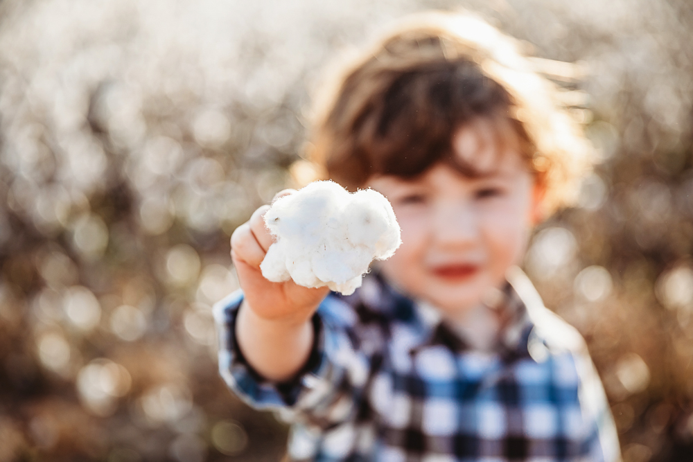 Cotton Field Family Session SC