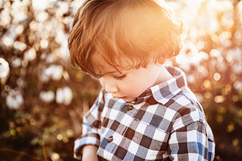 Cotton Field Family Session SC