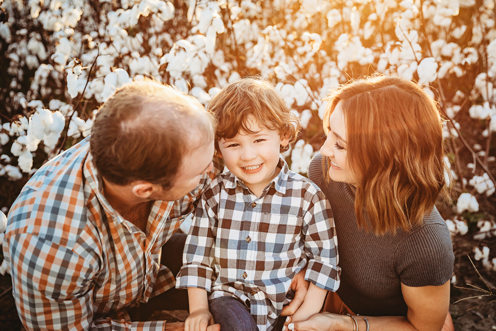 Cotton Field Family Session SC