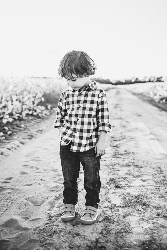 Cotton Field Family Session SC