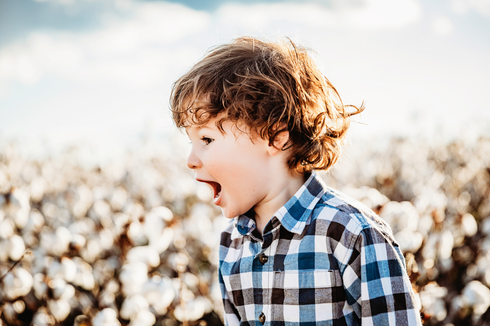 Cotton Field Family Session SC