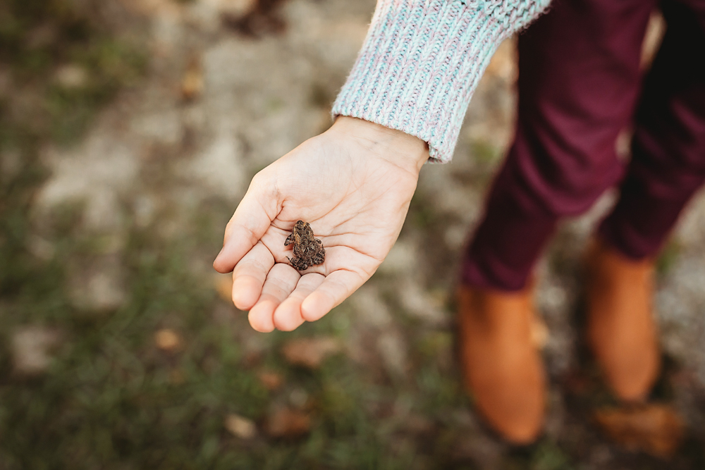 teeny tiny baby frog