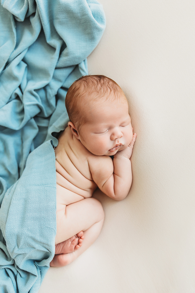 Shepard Newborn Photographer SC