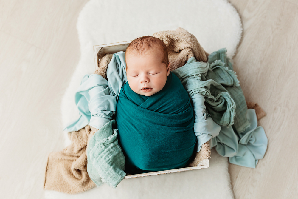 Shepard Newborn Photographer SC