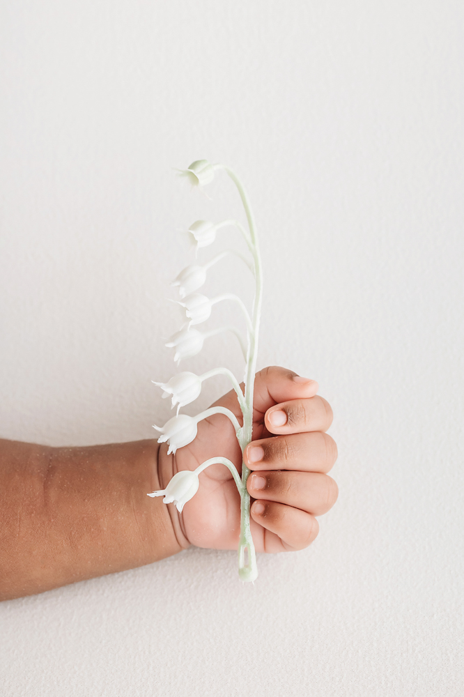 Newborn Lily baby hand gently holding a small white flower stem at Reflection Images by Tracy Rowell in Florence SC