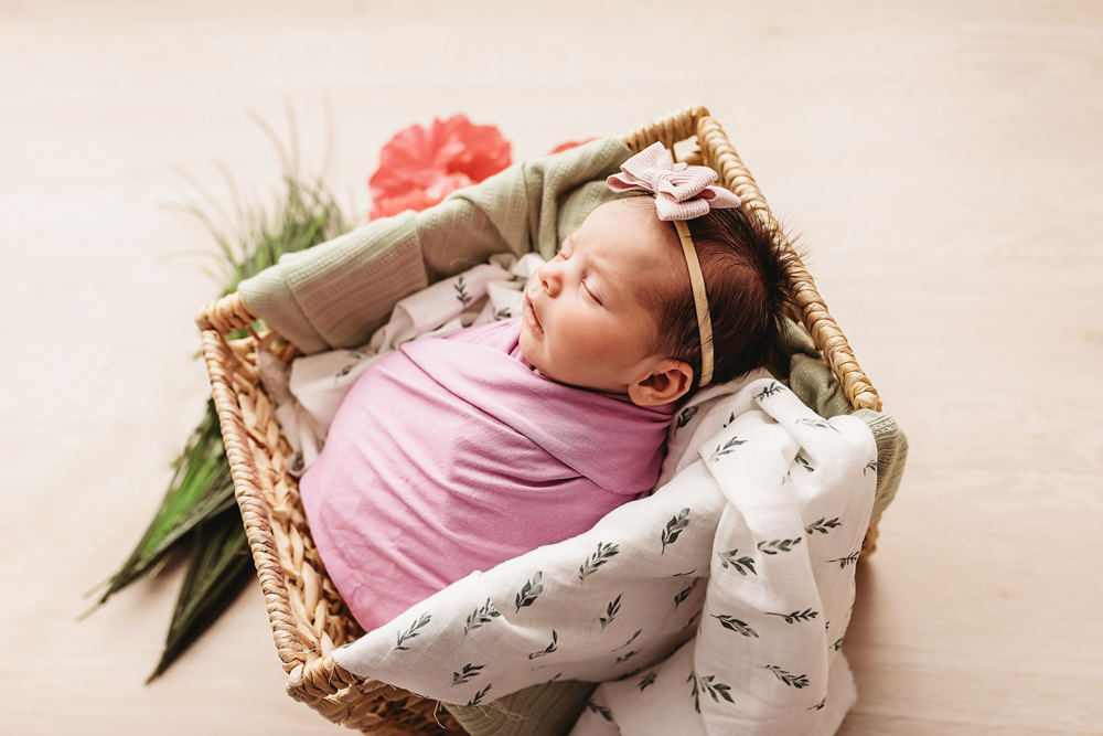 newborn baby in basket