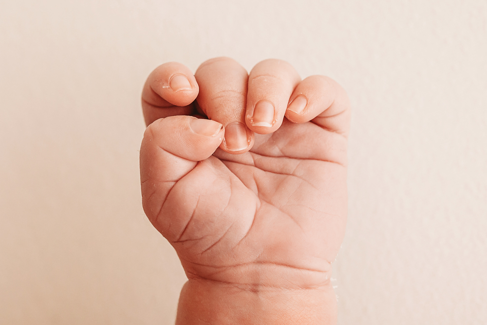 Hazel Florence Newborn Photography
