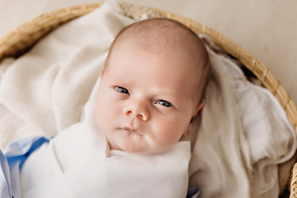 Beau wrapped in soft white blanket, wide-eyed and alert in a basket at Reflection Images by Tracy Rowell in Florence SC