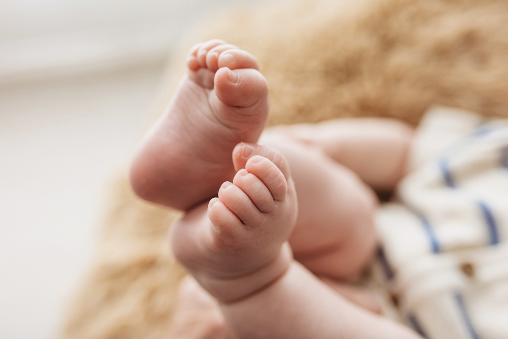 Close-up of baby toes, milestone session Reflection Images by Tracy Rowell