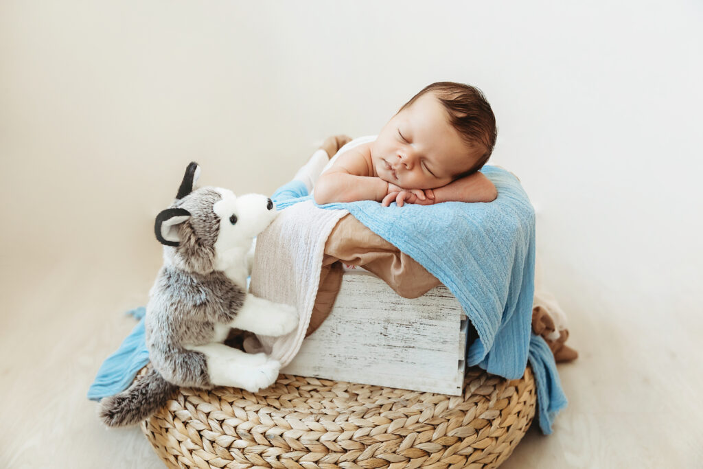 Baby nestled in white wood crate with soft blue and beige blankets and a stuffed husky toy nearby on woven basket at Reflection Images by Tracy Rowell in Florence SC