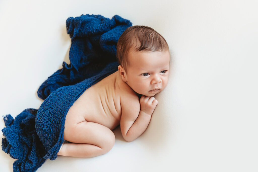 Newborn wrapped in navy blanket gazing alertly while posed on white backdrop, side lying position at Reflection Images by Tracy Rowell in Florence SC