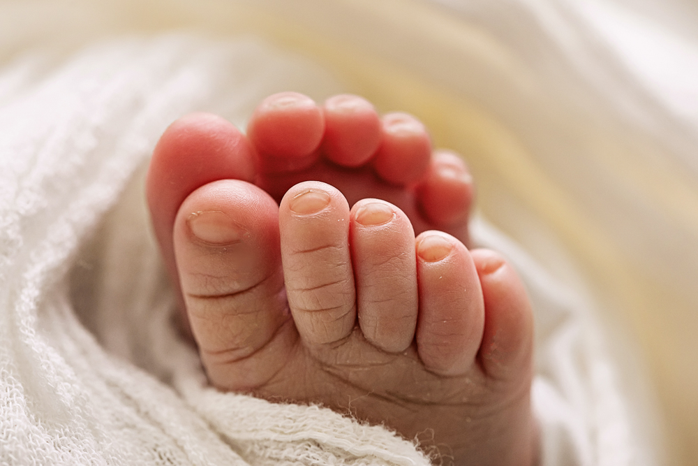 Newborn baby macro toes photography