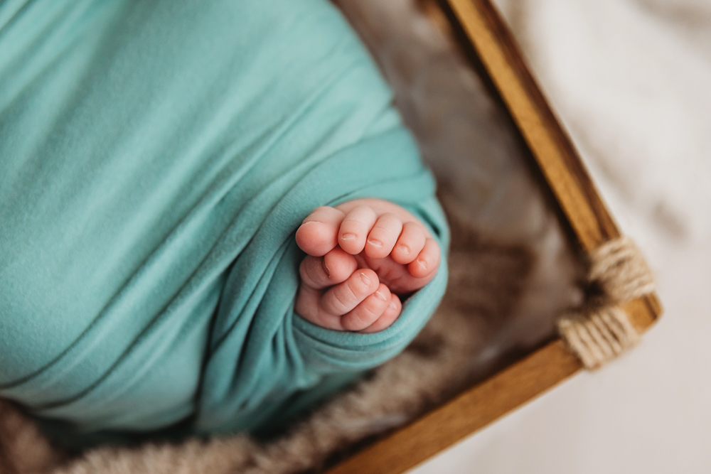 Baby Logan snug in basket at Reflection Images by Tracy Rowell in Florence SC