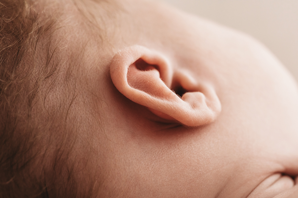 Close-up macro detail of baby's ear with soft peachy skin tones and warm lighting by florence sc photographer