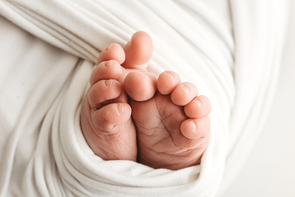 Newborn baby feet nestled in cream knit blanket, soft natural lighting in professional photography studio