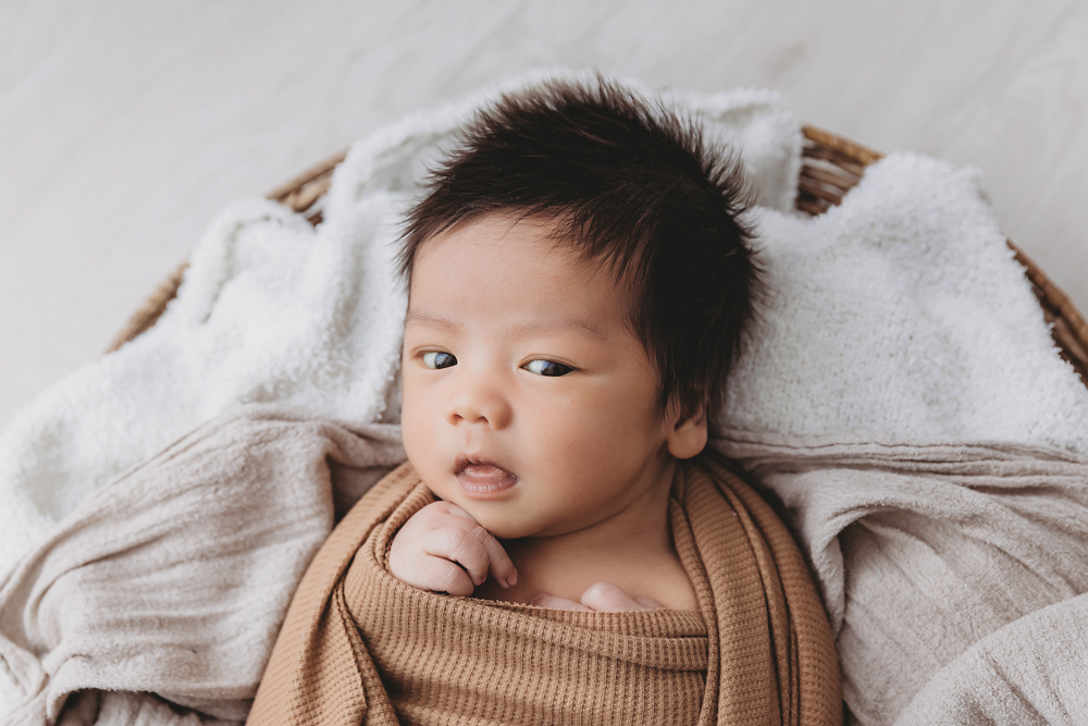 Alert newborn baby with dark hair wrapped in tan knit blanket on cream textiles, professional photography portrait